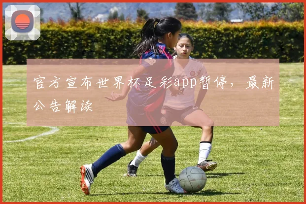 官方宣布世界杯足彩app暂停，最新公告解读