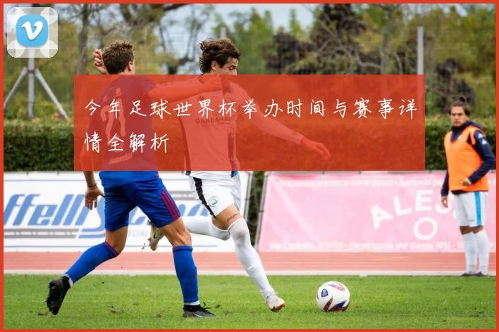 今年足球世界杯举办时间与赛事详情全解析