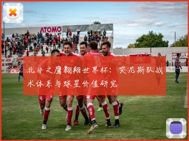 北非之鹰翱翔世界杯：突尼斯队战术体系与球星价值研究