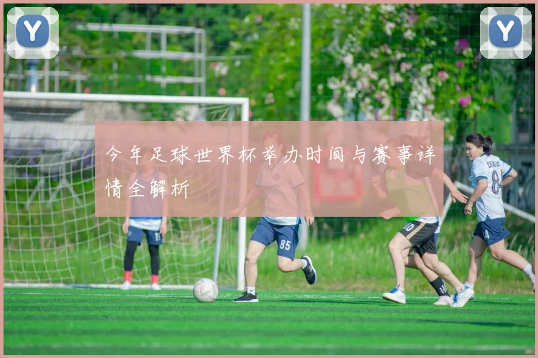 今年足球世界杯举办时间与赛事详情全解析