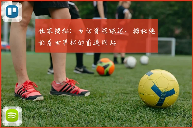 独家揭秘：专访资深球迷，揭秘他们看世界杯的首选网站