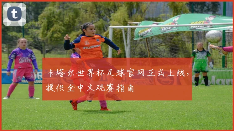 卡塔尔世界杯足球官网正式上线，提供全中文观赛指南