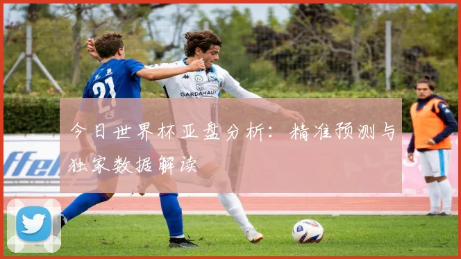 今日世界杯亚盘分析：精准预测与独家数据解读