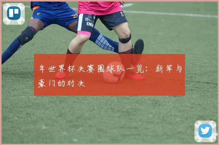 年世界杯决赛圈球队一览：新军与豪门的对决