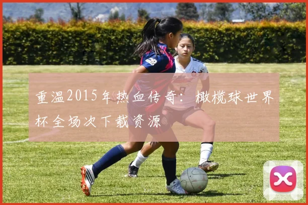 重温2015年热血传奇：橄榄球世界杯全场次下载资源