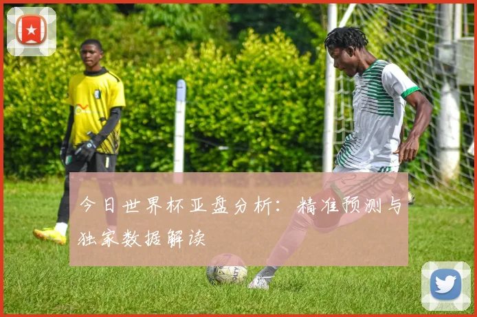 今日世界杯亚盘分析：精准预测与独家数据解读