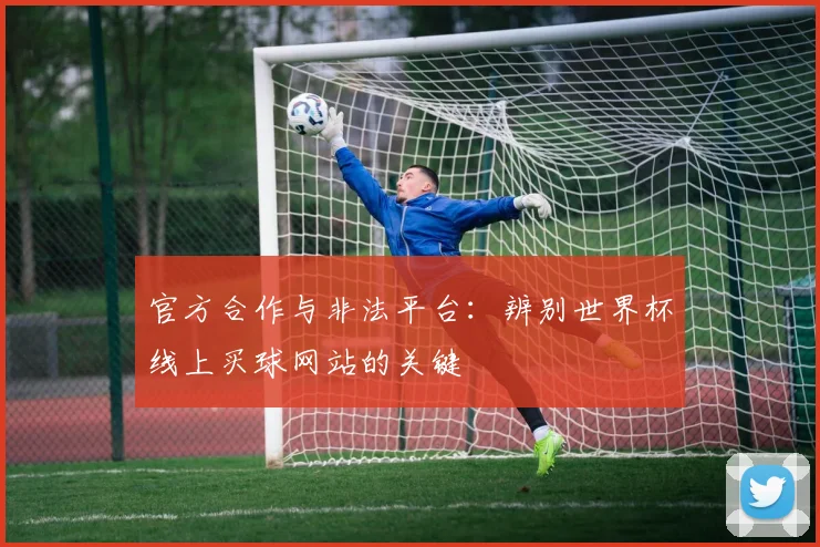 官方合作与非法平台：辨别世界杯线上买球网站的关键