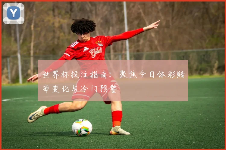 世界杯投注指南：聚焦今日体彩赔率变化与冷门预警